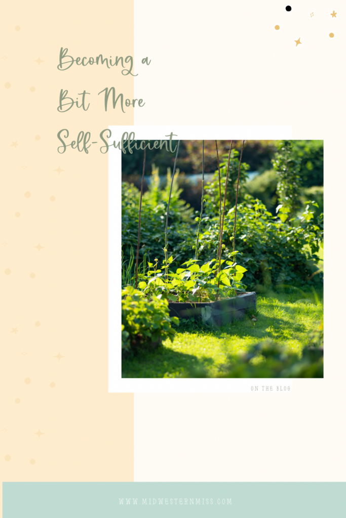 learning more self-sufficiency guide